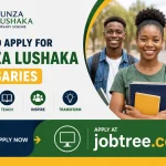 How to Apply for Funza Lushaka Bursaries in South Africa